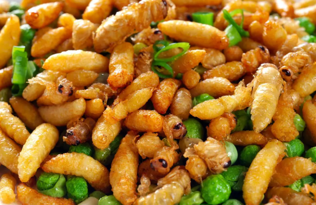 赤峰泳衣服裝店電話地址查詢-第1張圖片