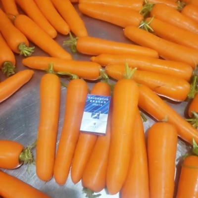 赤峰小羅卜營(yíng)地電話號(hào)碼-第1張圖片