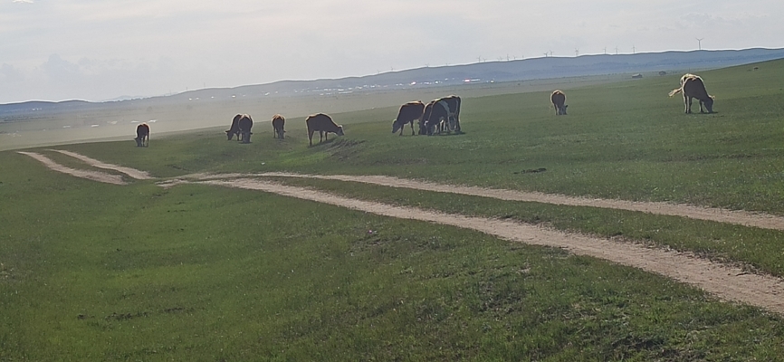 赤峰市京寬網(wǎng)絡(luò)客服電話號碼-第1張圖片