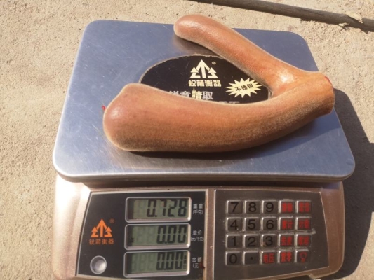 赤峰鹿心粉批發(fā)廠家電話號碼-第1張圖片