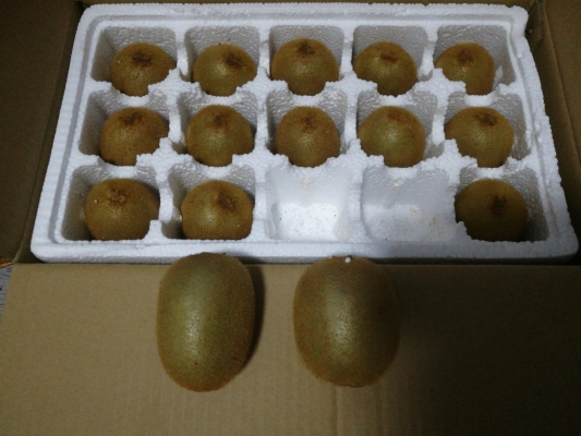 赤峰泡沫蛋托批發(fā)電話地址查詢-第1張圖片