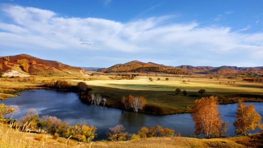 赤峰樺木廠家電話號(hào)碼查詢-第1張圖片