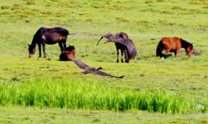 赤峰烏丹雙利煙花店電話號碼-第1張圖片