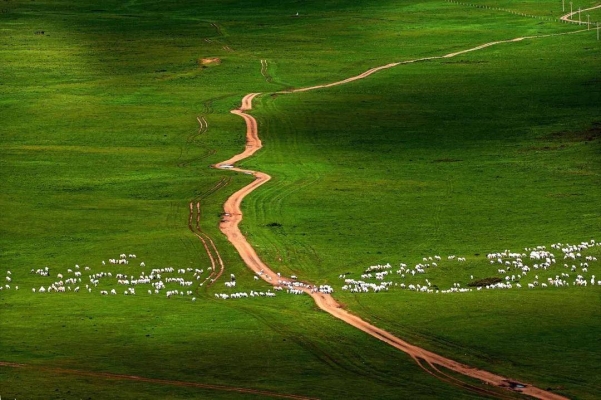 赤峰樂(lè)璽炸串店電話地址查詢-第1張圖片