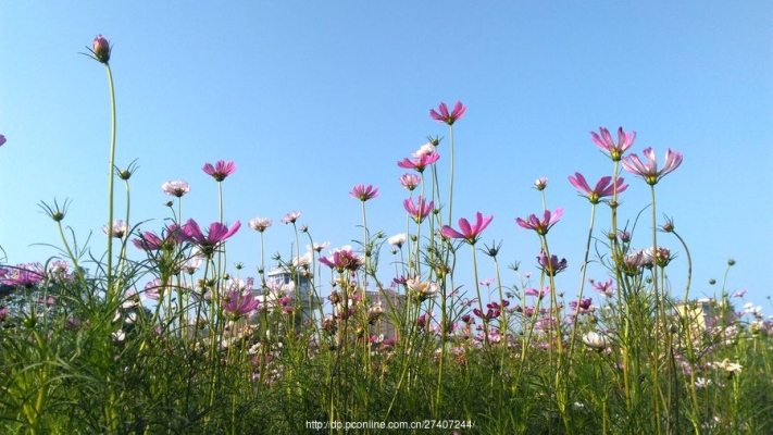 赤峰學(xué)院攝影社電話多少號(hào)-第1張圖片