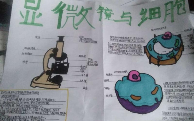 赤峰細(xì)胞顯微鏡廠家電話號(hào)碼-第1張圖片