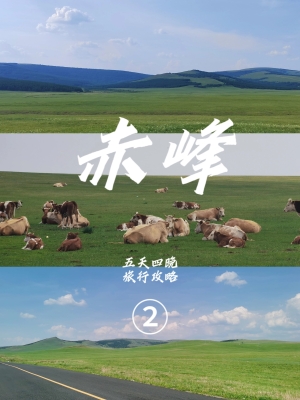 赤峰通克旗客車幾點發(fā)車-第1張圖片