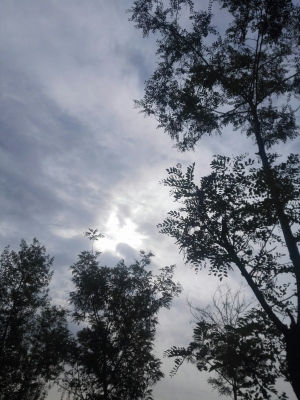 赤峰市寧城縣廣電電話號碼-第1張圖片