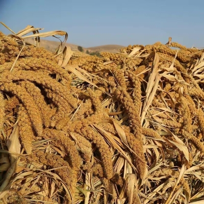 赤峰不銹鋼丸批發(fā)電話號(hào)碼-第1張圖片