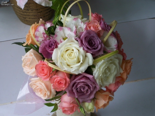 赤峰乃林婚慶公司電話多少號(hào)-第1張圖片