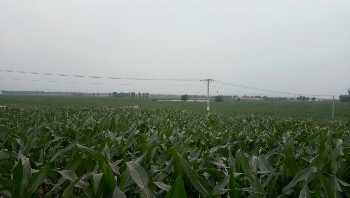 內(nèi)蒙古赤峰乃林小學電話是多少-第1張圖片