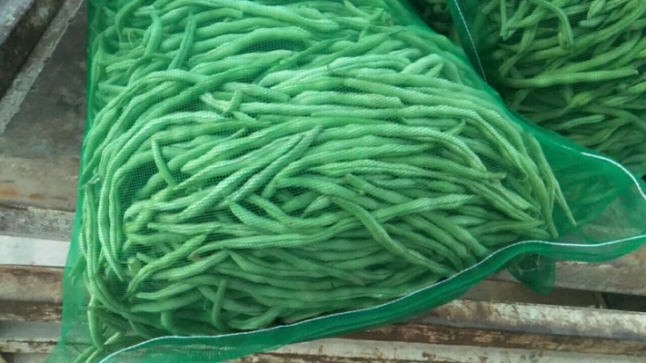 赤峰餅皮批發(fā)廠家電話地址查詢-第1張圖片