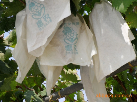 赤峰紙袋加工廠家地址電話號碼-第1張圖片