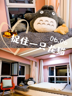 赤峰賣貓的市場地址電話號碼-第1張圖片