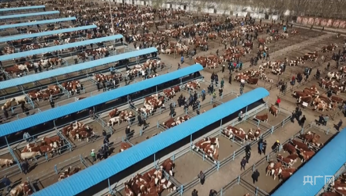 赤峰市養(yǎng)牛電話號碼查詢地址-第1張圖片