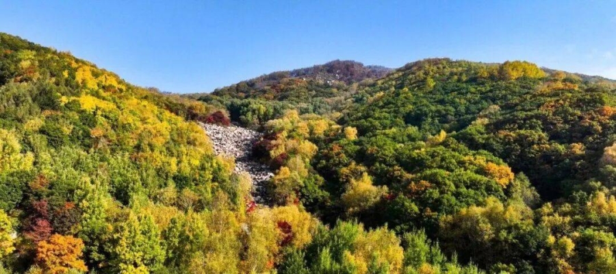 赤峰市頭條-第1張圖片