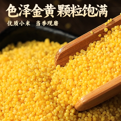 赤峰市敖漢小米專賣-第1張圖片