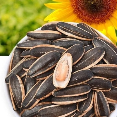 赤峰三全批發(fā)市場(chǎng)電話號(hào)碼-第1張圖片