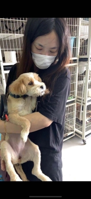 赤峰市內(nèi)寵物救助站電話號(hào)碼-第1張圖片