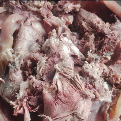 赤峰二道街羊頭店電話地址查詢-第1張圖片