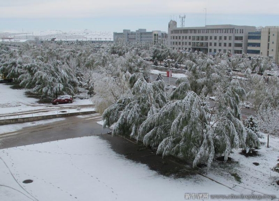 赤峰晨練體育場電話號(hào)碼查詢-第1張圖片