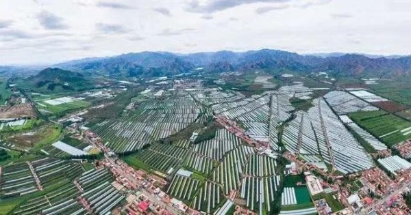 赤峰旗縣采摘果園地址電話號碼-第1張圖片