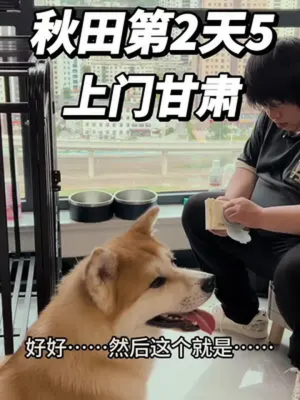 赤峰上門訓(xùn)犬電話多少號(hào)啊-第1張圖片