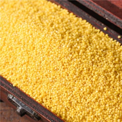 赤峰市松山區(qū)清洗油煙機-第1張圖片