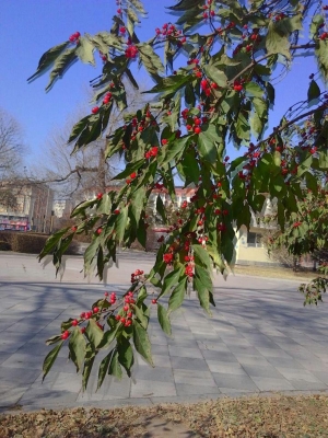 赤峰市敖漢旗升降舞臺(tái)電話號(hào)碼-第1張圖片