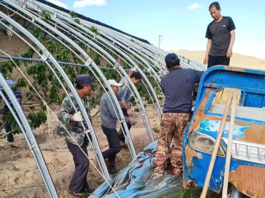 赤峰櫻桃團(tuán)購電話多少啊-第1張圖片