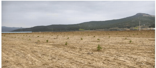 赤峰新華旱冰場(chǎng)電話號(hào)碼多少-第1張圖片