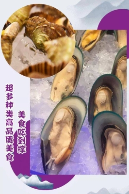 赤峰富力嘉華日料店電話號碼-第1張圖片