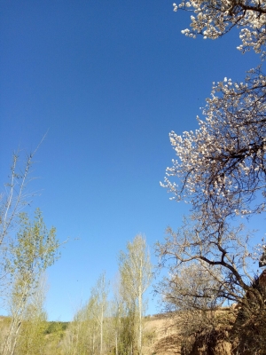 赤峰牛營(yíng)子農(nóng)家院電話號(hào)碼-第1張圖片