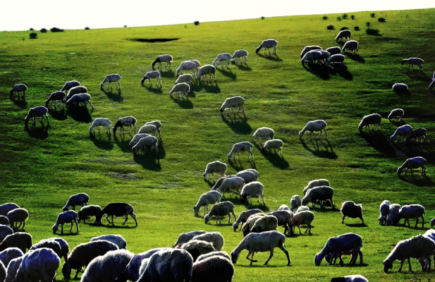 赤峰云銅化工廠電話號碼-第1張圖片