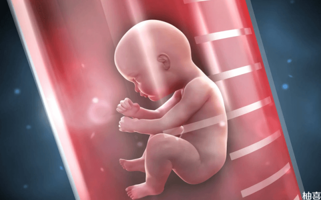 赤峰市醫(yī)院幫扶電話號碼是多少-第1張圖片