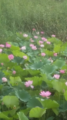 赤峰市九州-第1張圖片