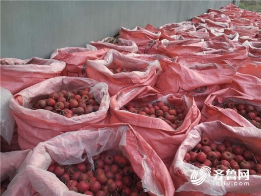 赤峰山楂種植基地電話號碼查詢-第1張圖片