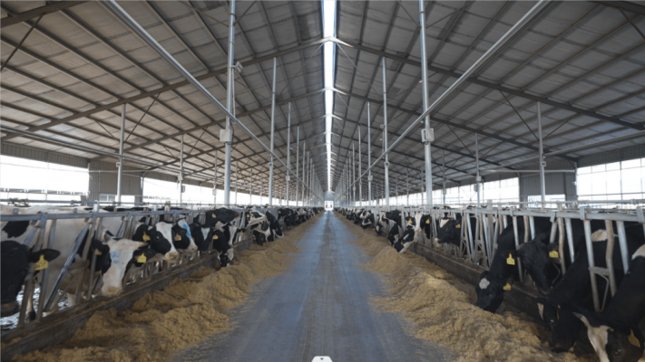 赤峰市勇敢牧場電話號碼查詢-第1張圖片