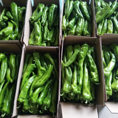 赤峰蔬菜批發(fā)店電話號碼多少-第1張圖片