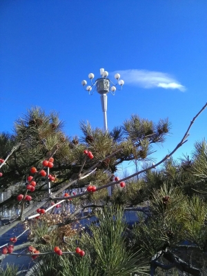 赤峰紅山區(qū)金頂社區(qū)電話號碼-第1張圖片