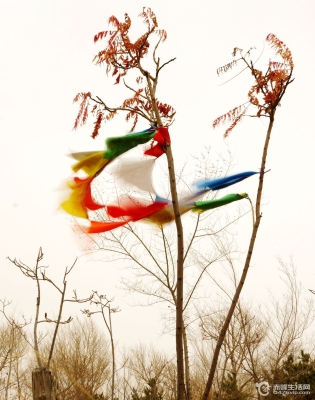 赤峰到道谷南山拼車電話號碼-第1張圖片