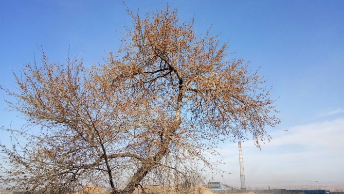 赤峰市寧城縣電站電話號碼-第1張圖片