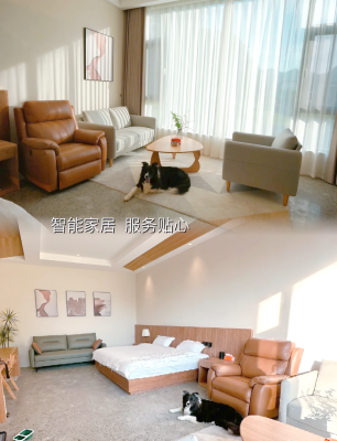 赤峰市寵物友好民宿電話號(hào)碼-第1張圖片