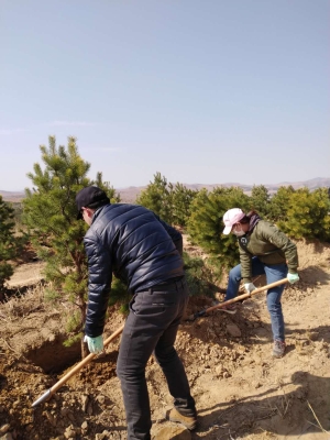 赤峰松山區(qū)汽車救援電話-第1張圖片