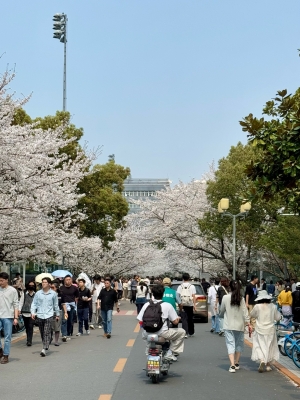 同濟大學醫(yī)院 赤峰路-第1張圖片