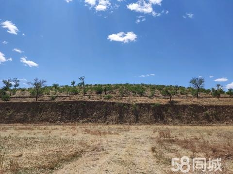 赤峰當鋪地平房出租電話號碼-第1張圖片