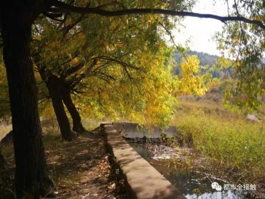 赤峰情書店鋪電話號碼多少號-第1張圖片