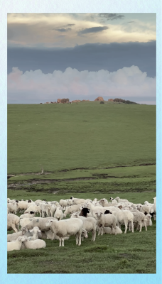 赤峰四中附近大飯店電話號碼-第1張圖片