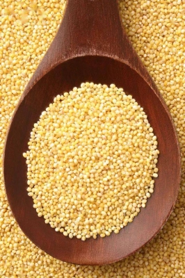 赤峰炸元宵廠家電話多少號-第1張圖片