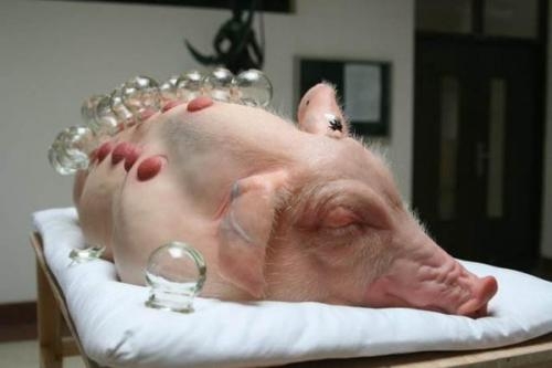 赤峰拔火罐團購電話號碼查詢-第1張圖片